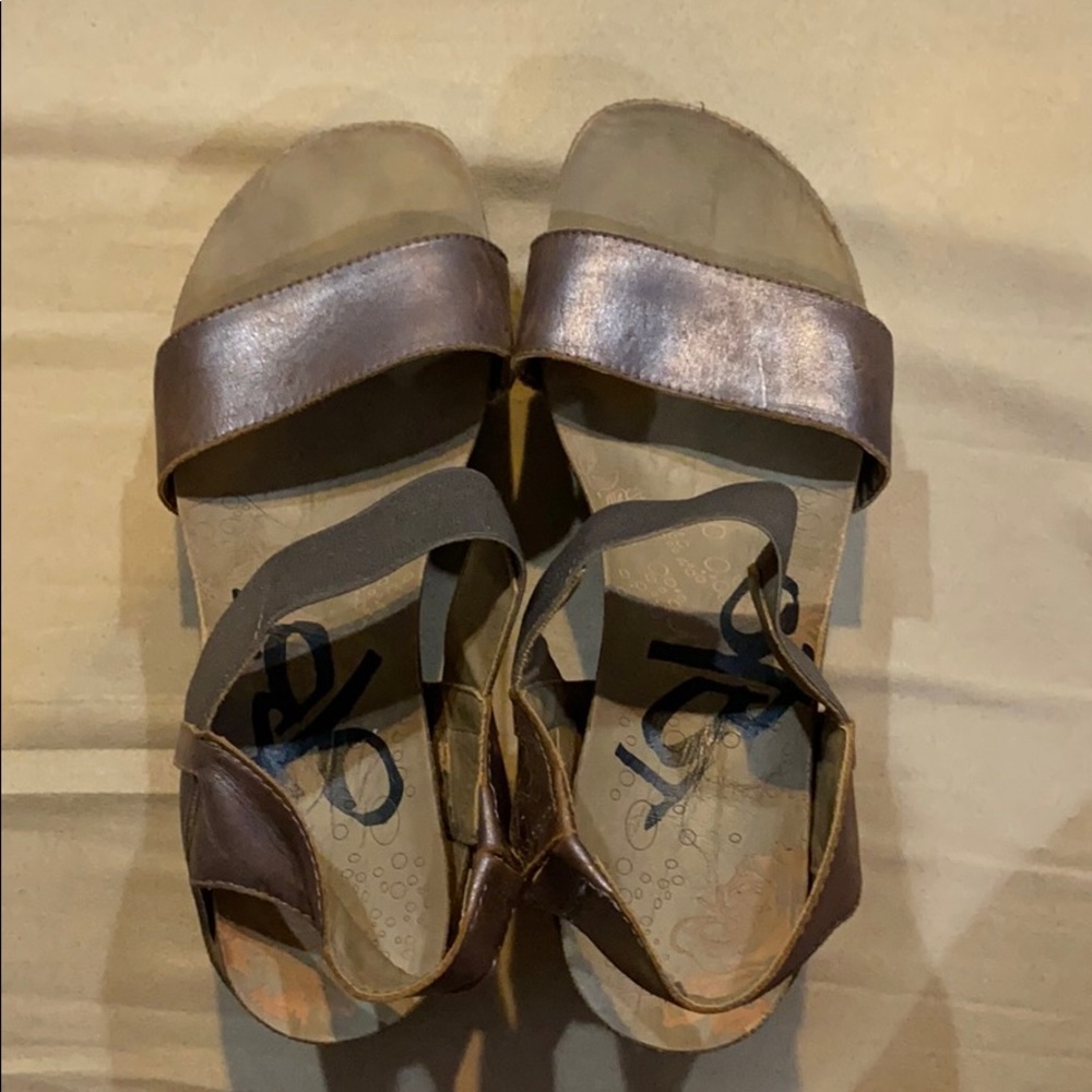 OTBT Bushnell Wedges